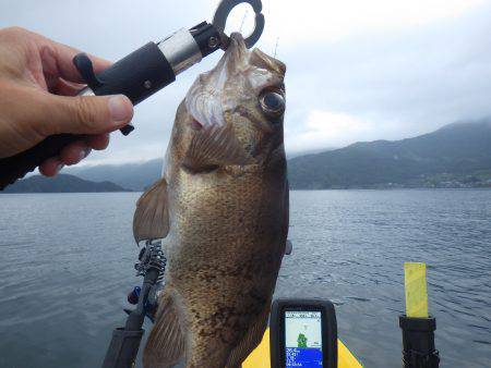 カヤックジギング